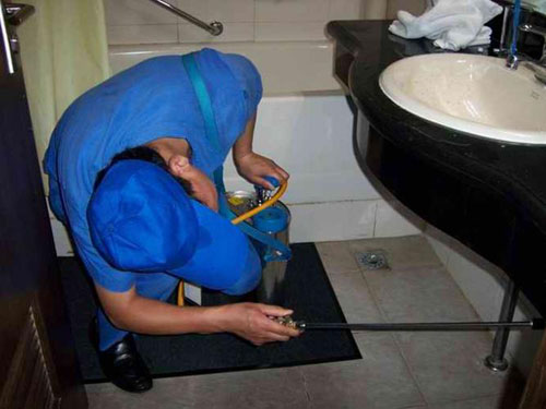 阜陽(yáng)滅蟑螂電話